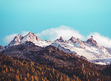 开云体育官网-CBA：新疆伊力特战胜南京天之蓝 结束4连败